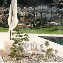 ménagement paysager d'un parc et de sa piscine
