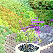 Aménagement paysager  d'une terrasse avec un jeu de nuance de vert